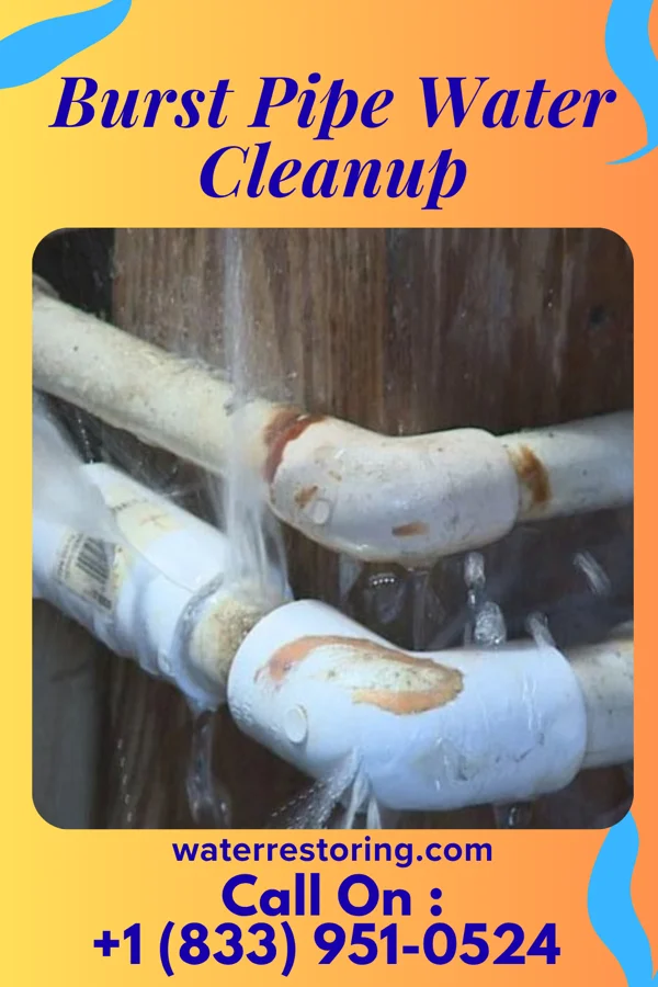 Burst Pipe Water Cleanup in Lexington, OH