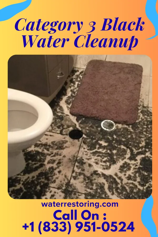 Category 3 Black Water Cleanup in Lexington, OH