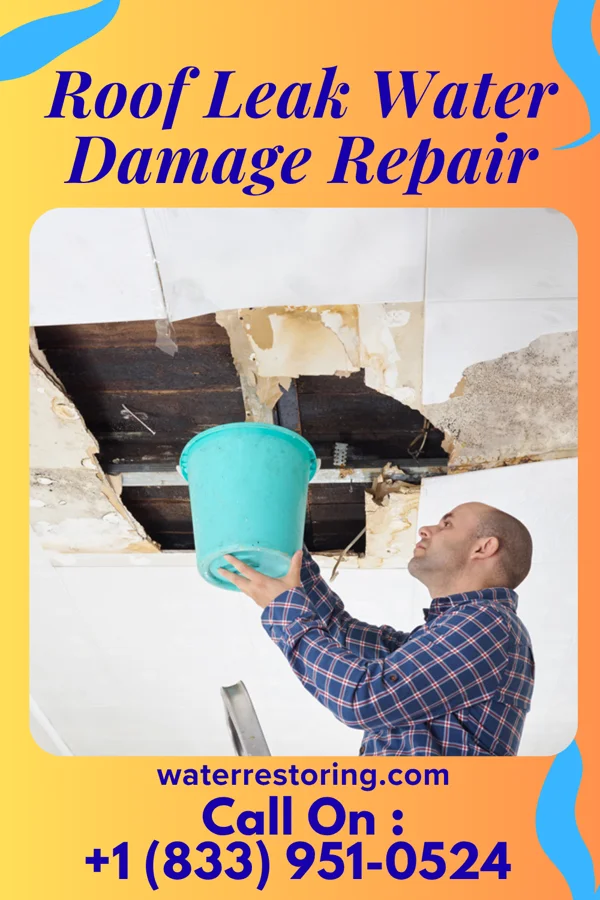 Roof Leak Water Damage Repair in Lexington, OH