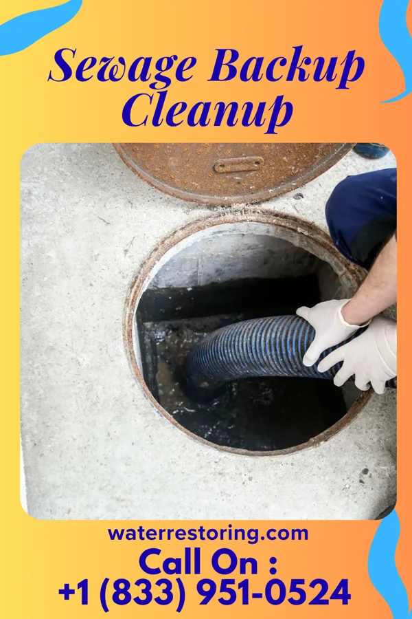 Sewage Backup Cleanup in Lexington, OH