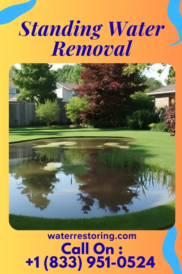 Standing Water Removal in Lexington, OH